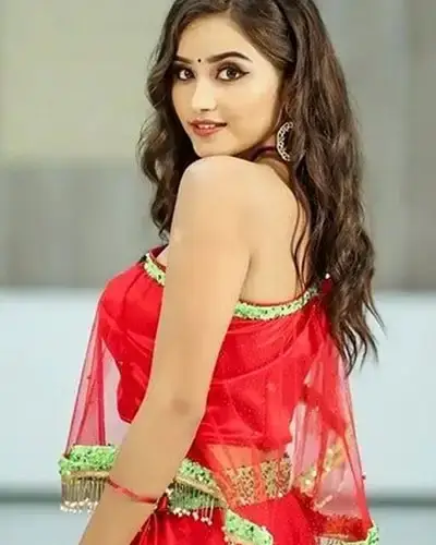 Call Girls Service Shahnagar